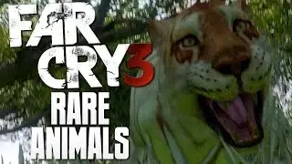RARE ANIMALS AND ASSASSINATIONS - Far Cry 3 Funny Moments