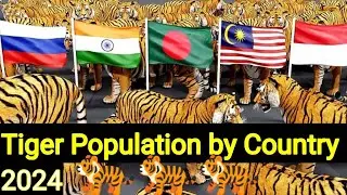 Tiger population by country 2024 || tiger population||tiger population in world #country #tiger #3d