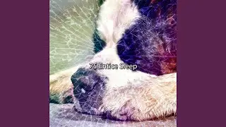 Supplement Of Sounds