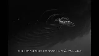 Javiera Mena - Pez en el Agua (Visualizer)