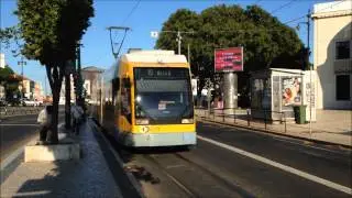 Train 193