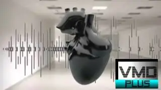 vmd idents 2012
