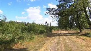 Schipborg: Wandelaarster (76) slachtoffer van ernstig zedenmisdrijf