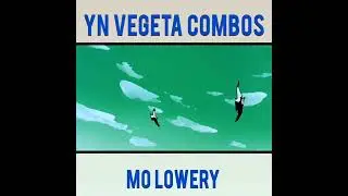 YN Vegeta Had real combos.
