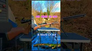 Best Air Rifle Best Spring Rifle Air Arms tx200  #shorts