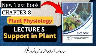 Support in Plants | Class 11 Biology | Chapter 8 Plant Physiology | New Book 2025