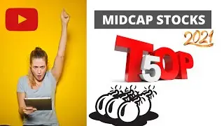 Top Midcap Stocks for 2021