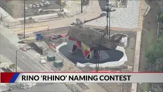 Public's help requested to name RiNo rhino statue