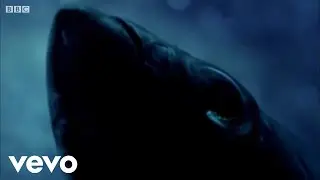 i am just a fish - cover [offishal music video]