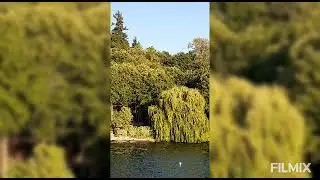 Lake washington cruise