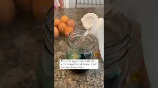 Bouncy Egg Experiment! #scienceforkids