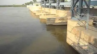 Head Tarimo at Jhang by Muqaddas