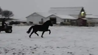 V&aelig;nting