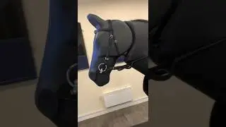 First Time Riding a Mechanical Horse! #dressage #horserider #mechanicalhorse #equestrianfitness
