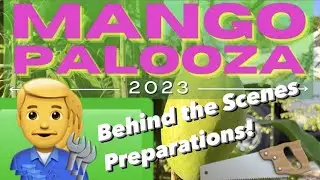 COMING SOON: BEST MANGO EVENT of the YEAR in Loxahatchee FL - Behind The Scenes Prep!