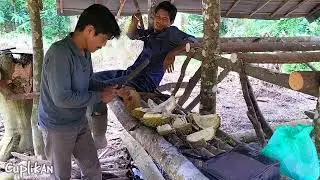 Petualangan di hutan, Musim durian 2024/2025 sudah selesai #adventure #survival #hutan #durian 