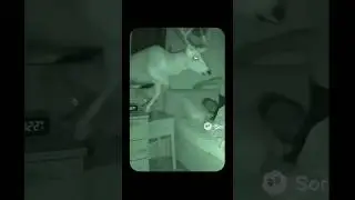 MEME, VIRAL, FUNNY KYUAZAK #shorts