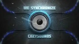 we synchronize melodic techno 2026