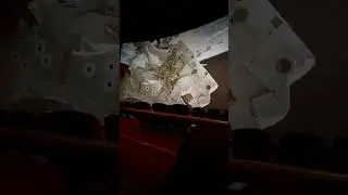 IMAX THEATERS VISUAL TEST