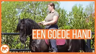 Handen rechtop! Maar waarom dan?