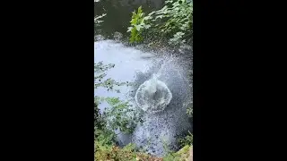 Throwing Rocks in water | Part 14