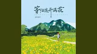 归途开满花