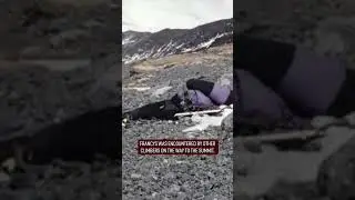 Последняя фотография, сделанная перед смертельным исходом...