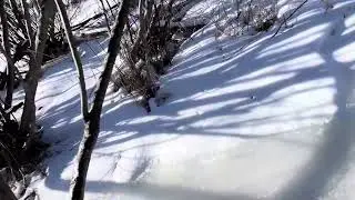 Snow crunching #asmr #snowcrunching