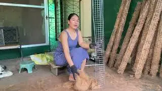 DIY Super easy Plant Pole using chicken wire and coconut fibers.