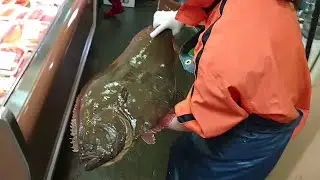 Huge Flounder FISH Filleting Skills From JAPAN