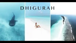 Dhigurah Malediven TRAVELGUIDE 🏝️ | Schönste Local Insel? Anreise, Kosten & Walhaie