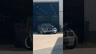 LOUD S197 Mustang