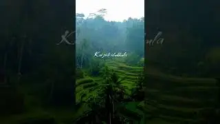 Naan Gaali from Good Night movie|#shorts #trending