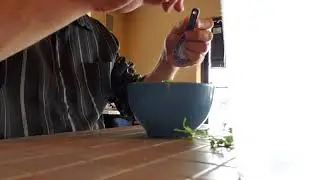 Cilantro hack!
