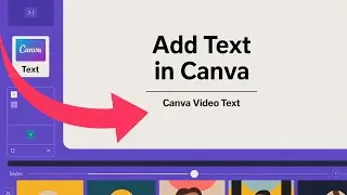How to Put Text on Videos Using Canva (Canva Tutorial)