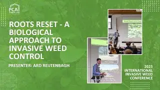 Roots Reset - a biological approach to invasive weed control - #IIWC23