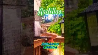 Robando ando