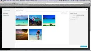 Adding Image Gallery Wordpress