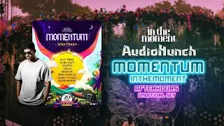 AudioHunch - In The Moment Afterhours : Momentum 2025 (Unofficial set)