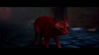 HELPING A STRAY CAT PT1 4K 60FPS