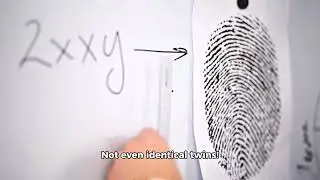 🌀 No Two People Have the Same Fingerprint! | Unique Human Fact #shorts