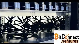 Genesis Bitcoin Mining Update - $110 Loan on BitConnect