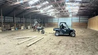 HEZA STIRRUP WONDER