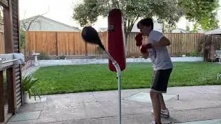 408mark_tkd fierce reflex bag  #cobrabag #ryangarcia #fiercereflex #boxing