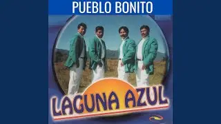 No Puedo Olvidarte