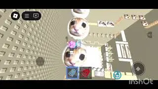Parkour de gatinho fofinho❤️no (Roblox)🌸