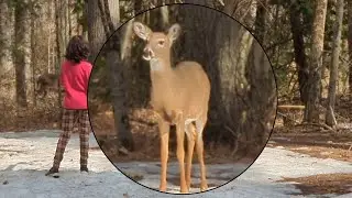 Into the Wild: Our Kawarthas Hiking Adventure with Up-Close Animal Encounters! @KushnirsStory