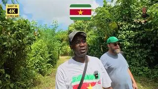 Wij bezoeken het Peperpot Natuurpark in Suriname