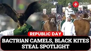 Him Yodha 'Silent Warriors': Camels, Dogs & ATVs Steal the Republic Day Show On Kartavya Path