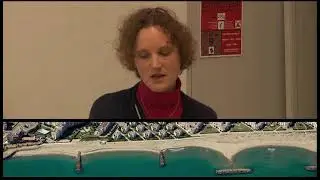 La comp&eacute;tence Gemapi appliqu&eacute; au littoral - D&eacute;marche Ambition Littoral